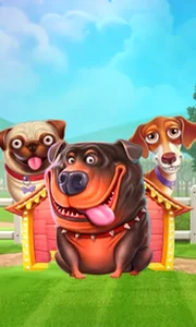 The Dog House